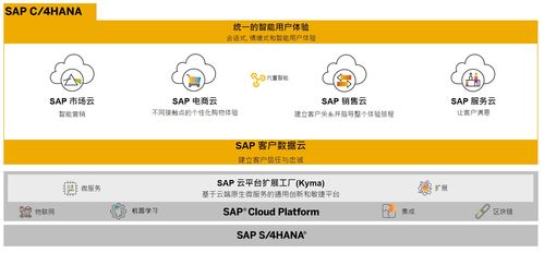 SAP商務(wù)云產(chǎn)品自學(xué)指南 電商云、銷售云與營銷云業(yè)務(wù)知識入門